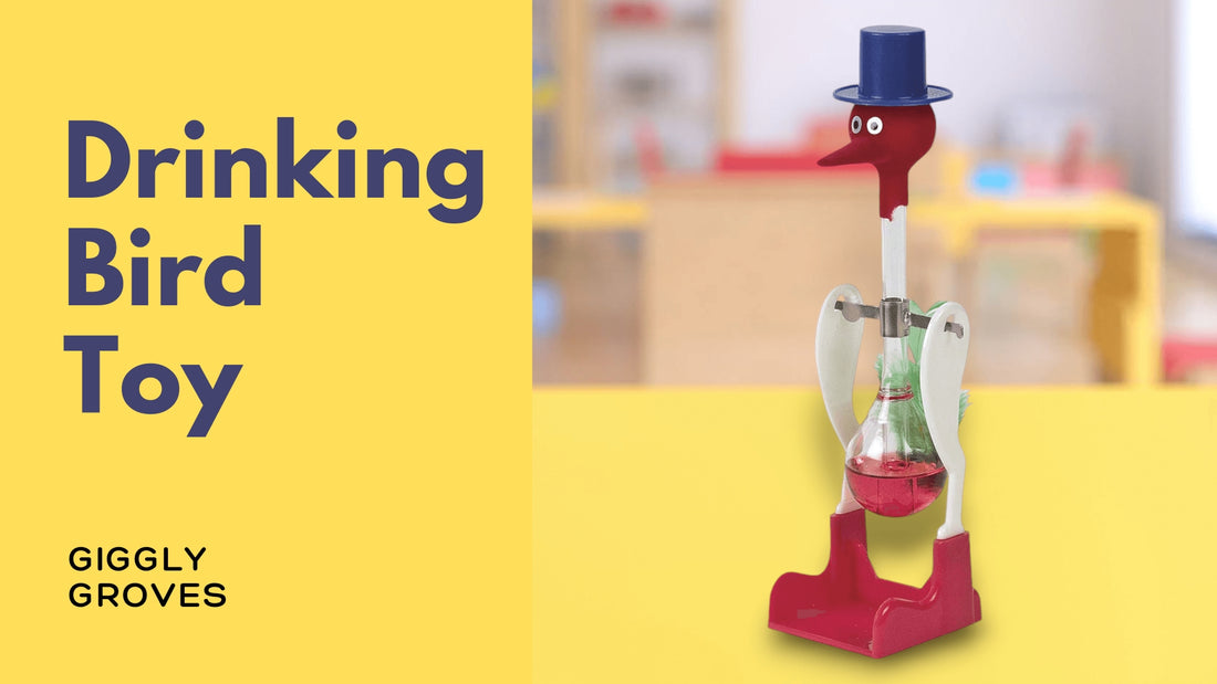 The Fascinating Science Behind the Drinking Bird Toy: A Delightful Dive into its Mechanics and Endless Entertainment